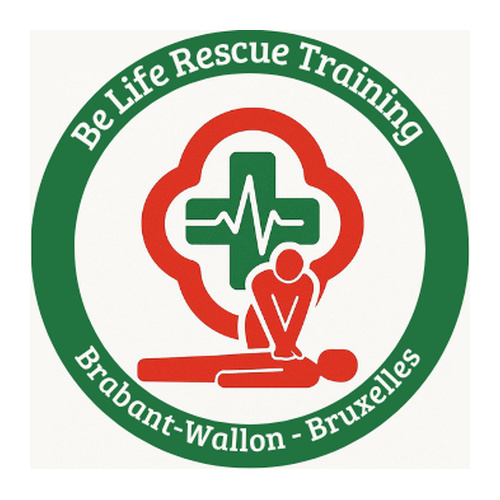 Logo Be Life Rescue Training