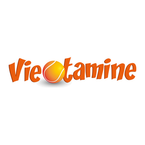 Logo Vietamine